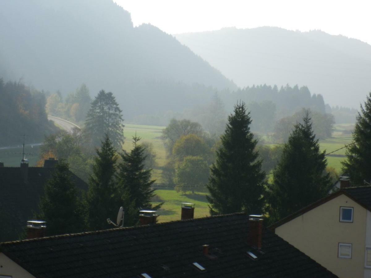Urseetalblick Wg 7 Apartment Lenzkirch Exterior photo